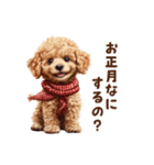 トイプードルのお正月前スタンプ（個別スタンプ：1）