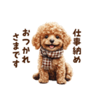 トイプードルのお正月前スタンプ（個別スタンプ：5）