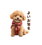 トイプードルのお正月前スタンプ（個別スタンプ：11）