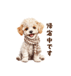 トイプードルのお正月前スタンプ（個別スタンプ：12）