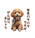 トイプードルのお正月前スタンプ（個別スタンプ：13）
