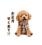 トイプードルのお正月前スタンプ（個別スタンプ：17）