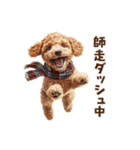 トイプードルのお正月前スタンプ（個別スタンプ：19）