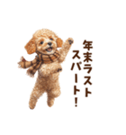 トイプードルのお正月前スタンプ（個別スタンプ：20）