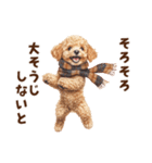 トイプードルのお正月前スタンプ（個別スタンプ：22）