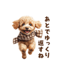 トイプードルのお正月前スタンプ（個別スタンプ：23）