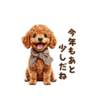 トイプードルのお正月前スタンプ（個別スタンプ：26）