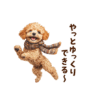 トイプードルのお正月前スタンプ（個別スタンプ：30）