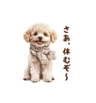 トイプードルのお正月前スタンプ（個別スタンプ：31）
