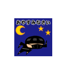 飛び出す！マッシュボーイ＠お正月/再販（個別スタンプ：22）