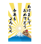 可愛い茶アメコカBIG年末年始（個別スタンプ：16）