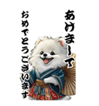 可愛い白ポメラニアンBIG年末年始（個別スタンプ：1）