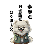 可愛い白ポメラニアンBIG年末年始（個別スタンプ：2）