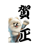 可愛い白ポメラニアンBIG年末年始（個別スタンプ：4）