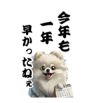 可愛い白ポメラニアンBIG年末年始（個別スタンプ：5）