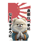 可愛い白ポメラニアンBIG年末年始（個別スタンプ：9）