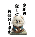 可愛い白ポメラニアンBIG年末年始（個別スタンプ：10）