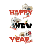 可愛い白ポメラニアンBIG年末年始（個別スタンプ：14）