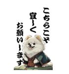 可愛い白ポメラニアンBIG年末年始（個別スタンプ：16）
