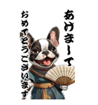 可愛いボストンテリアBIG年末年始（個別スタンプ：1）