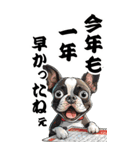 可愛いボストンテリアBIG年末年始（個別スタンプ：3）