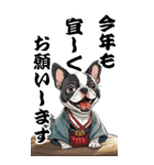 可愛いボストンテリアBIG年末年始（個別スタンプ：5）