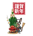 可愛いボストンテリアBIG年末年始（個別スタンプ：12）