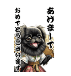 可愛い黒ペキニーズBIG年末年始（個別スタンプ：1）