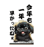 可愛い黒ペキニーズBIG年末年始（個別スタンプ：5）