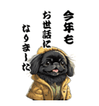 可愛い黒ペキニーズBIG年末年始（個別スタンプ：6）