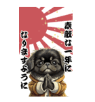 可愛い黒ペキニーズBIG年末年始（個別スタンプ：8）