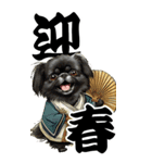 可愛い黒ペキニーズBIG年末年始（個別スタンプ：12）