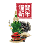 可愛い黒ペキニーズBIG年末年始（個別スタンプ：13）