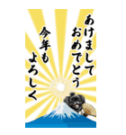 可愛い黒ペキニーズBIG年末年始（個別スタンプ：16）