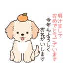 やさしいマルプー『年末年始2026』2（個別スタンプ：1）