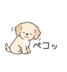 やさしいマルプー『年末年始2026』2（個別スタンプ：6）