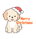 やさしいマルプー『年末年始2026』2（個別スタンプ：7）