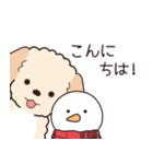 やさしいマルプー『年末年始2026』2（個別スタンプ：10）