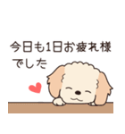 やさしいマルプー『年末年始2026』2（個別スタンプ：12）