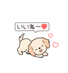 やさしいマルプー『年末年始2026』2（個別スタンプ：19）