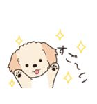 やさしいマルプー『年末年始2026』2（個別スタンプ：20）