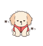 やさしいマルプー『年末年始2026』2（個別スタンプ：21）