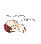 やさしいマルプー『年末年始2026』2（個別スタンプ：23）