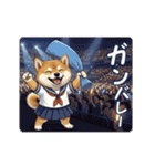 柴犬の一年中使えるスタンプ（個別スタンプ：9）