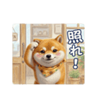 柴犬の一年中使えるスタンプ（個別スタンプ：12）