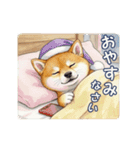 柴犬の一年中使えるスタンプ（個別スタンプ：15）