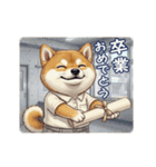 柴犬の一年中使えるスタンプ（個別スタンプ：19）