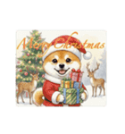 柴犬の一年中使えるスタンプ（個別スタンプ：22）