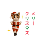 踊る♡ねこサンタクロース（個別スタンプ：4）