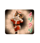 踊る♡ねこサンタクロース（個別スタンプ：6）